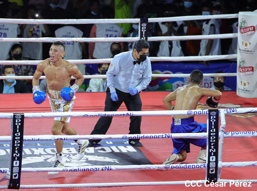 boxeo